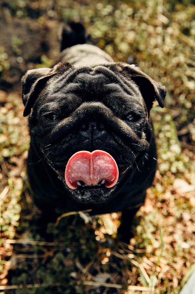 Photograph by Мария Подорван