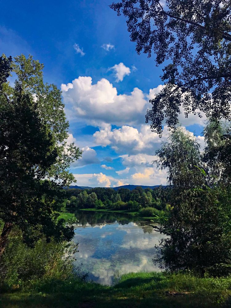 Photograph by Нелли Дзюба