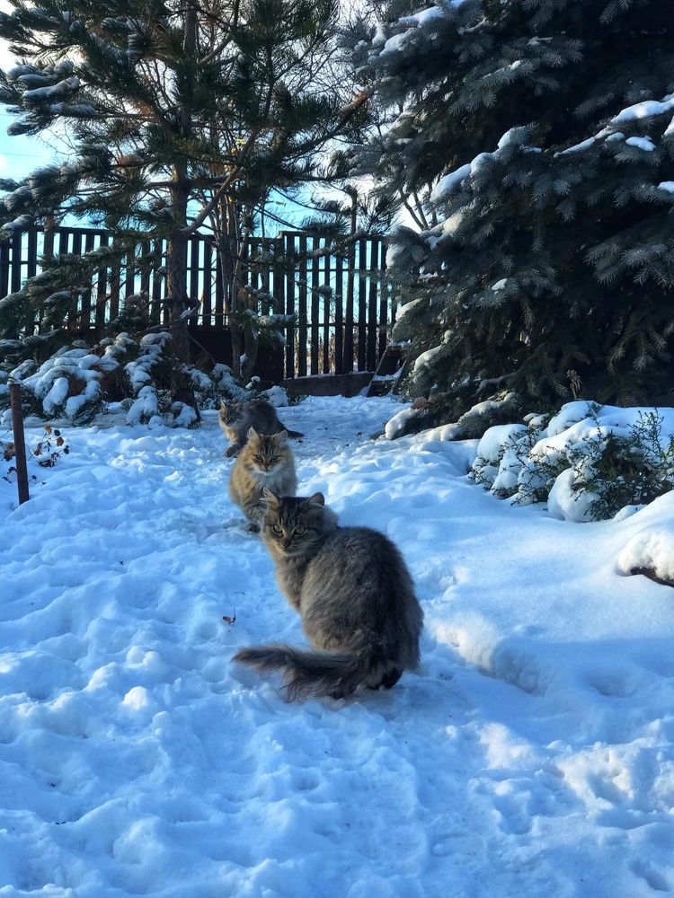 Photograph by Нелли Дзюба