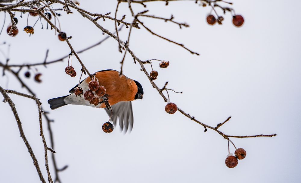 Photograph by Юрий Чернов