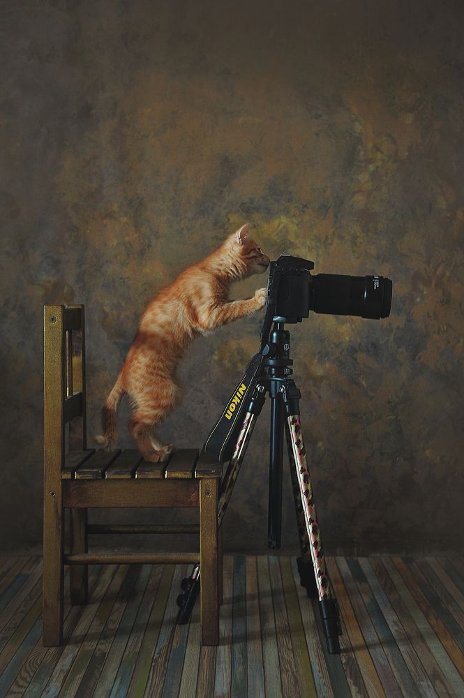 Photograph by Лысенкова Ксения