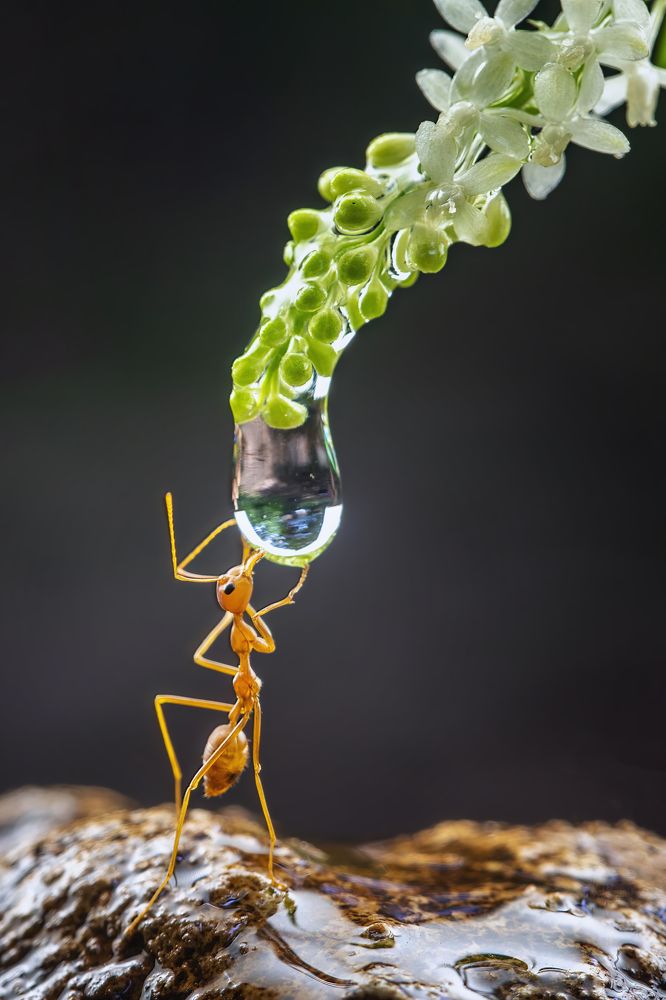 Photograph by Dzulfikri Dzulfikri
