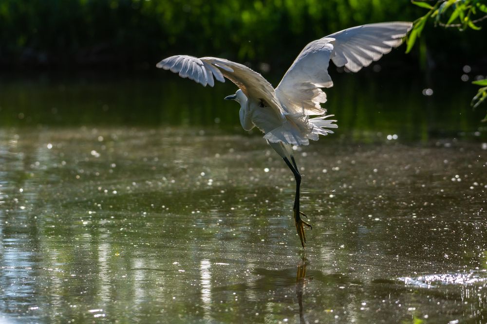 Photograph by Pucs Fongabe