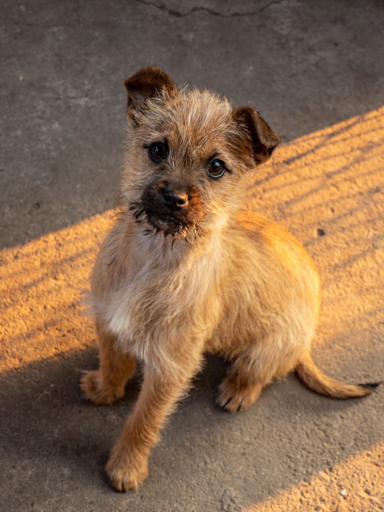 Photograph by Pucs Fongabe