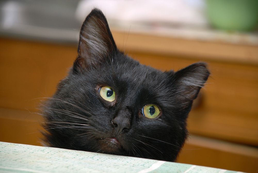 Photograph by Владимир Краснов