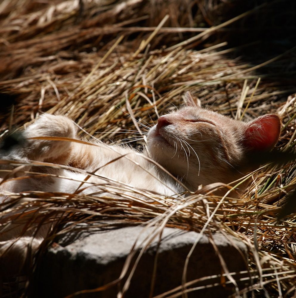 Photograph by Владимир Краснов