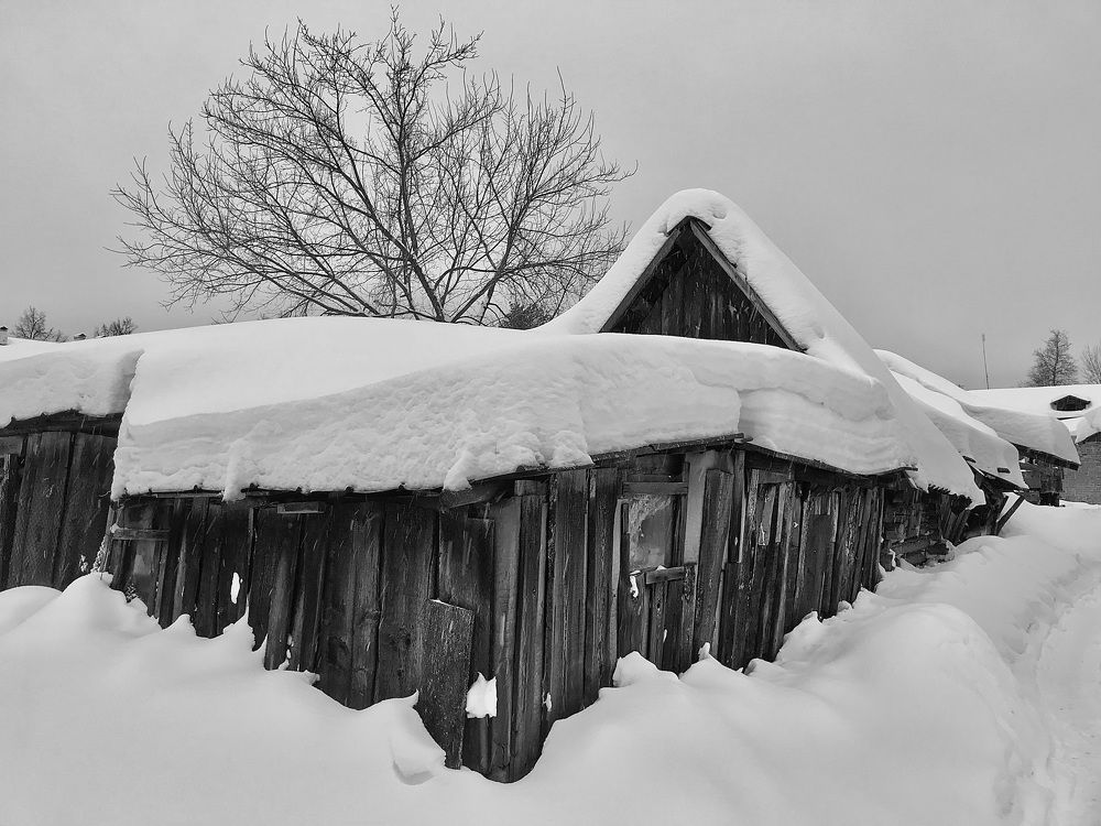 Photograph by Михаил Некрасов