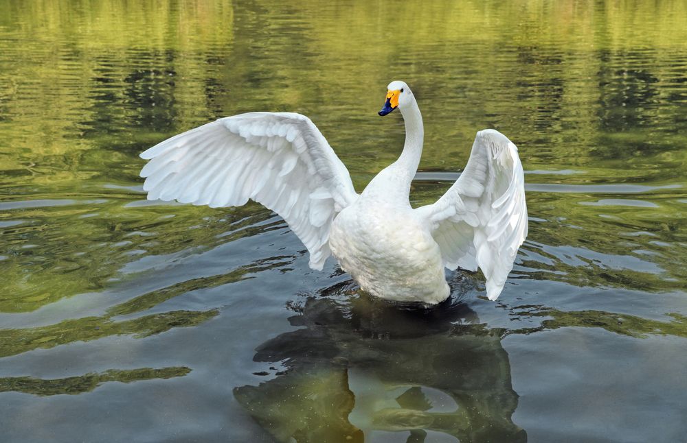 Photograph by Вера Лопатина