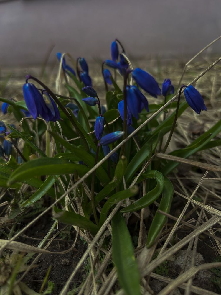 Photograph by Наталья Сергеевна