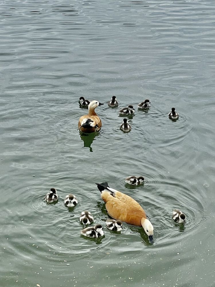 Фотография автора Юлия Недосекина