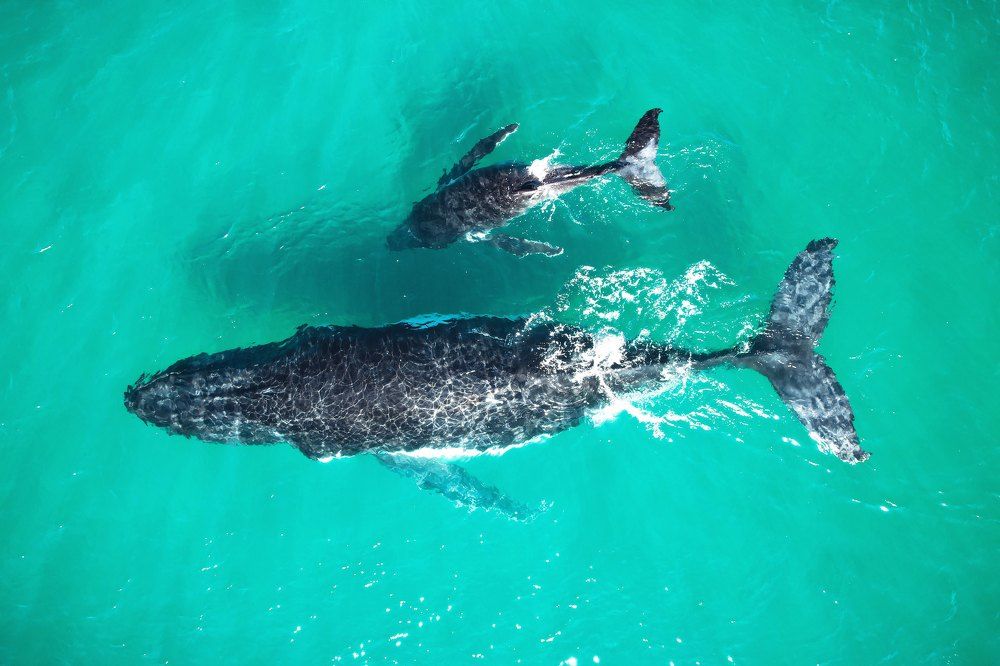 Photograph by Hadriel91