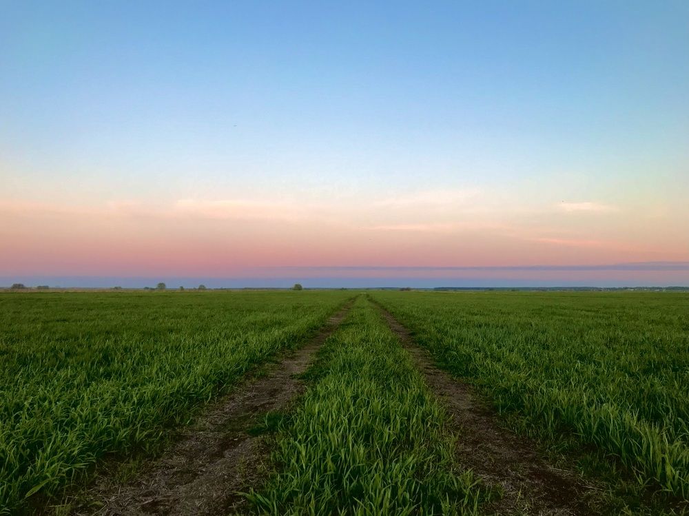 Photograph by Михаил Некрасов