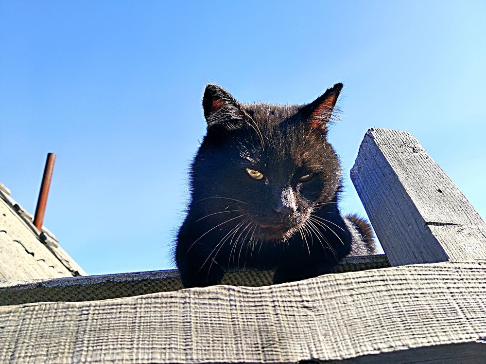 Photograph by Анатолий Майдуров