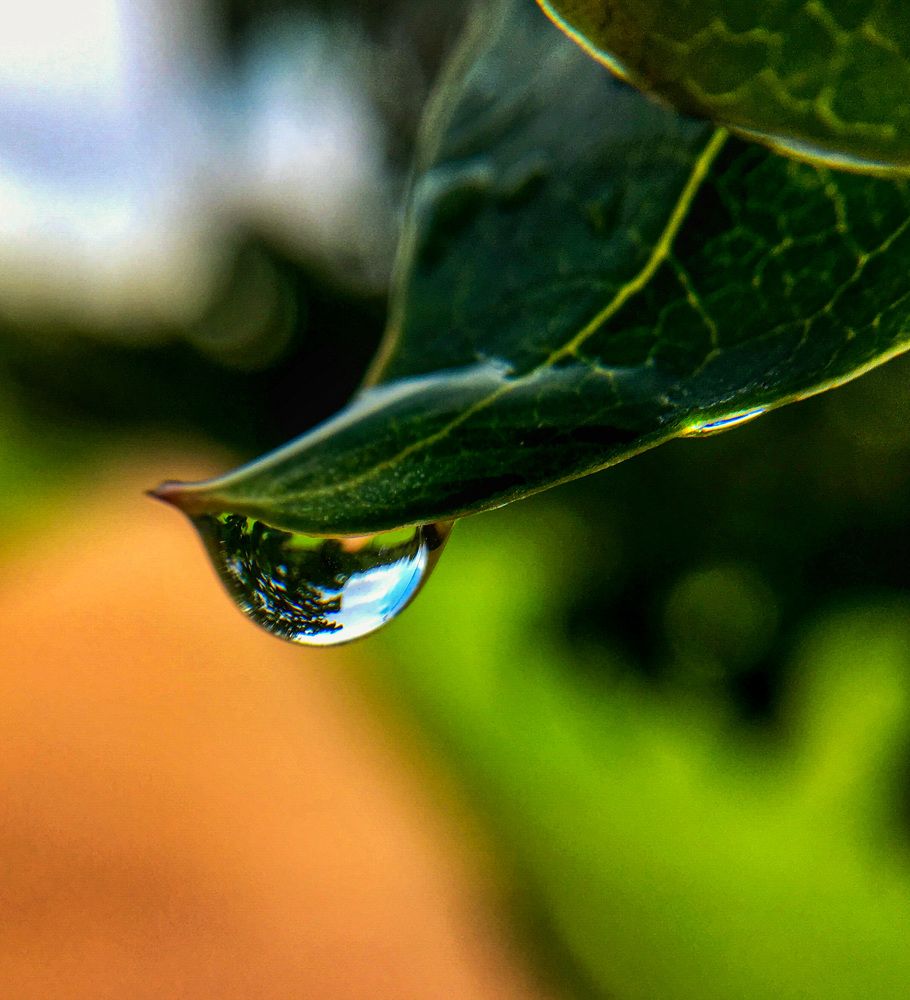 Photograph by Лукаш Варданян