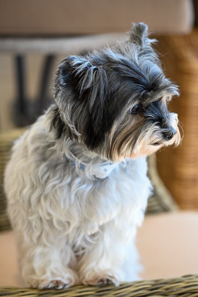 Photograph by Ирина Александрова