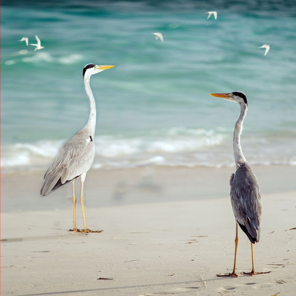 Photograph by Elena Gebert