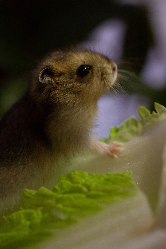 Photograph by Таня Короткова