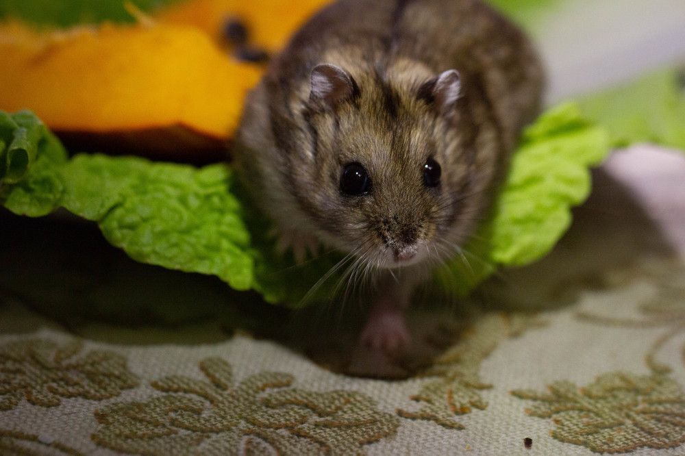 Photograph by Таня Короткова