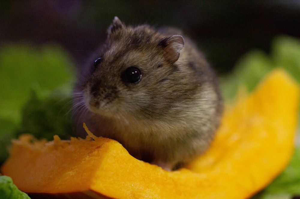 Photograph by Таня Короткова