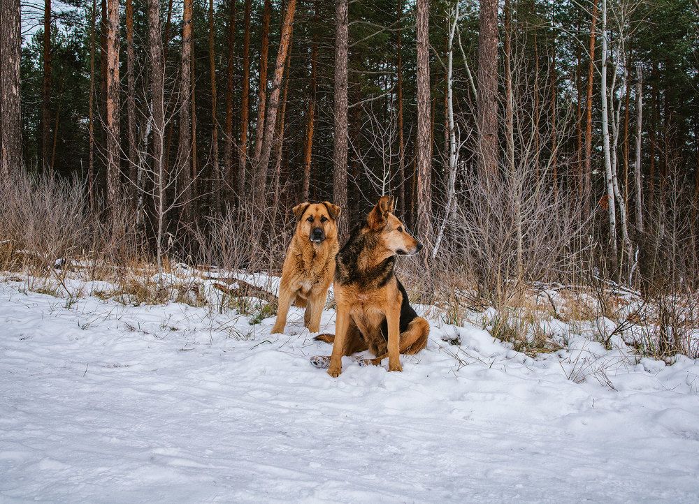 Photograph by Нелли Дзюба