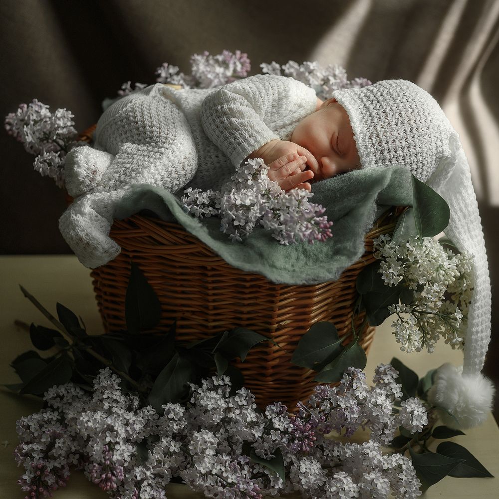 Photograph by Елена Жаркова