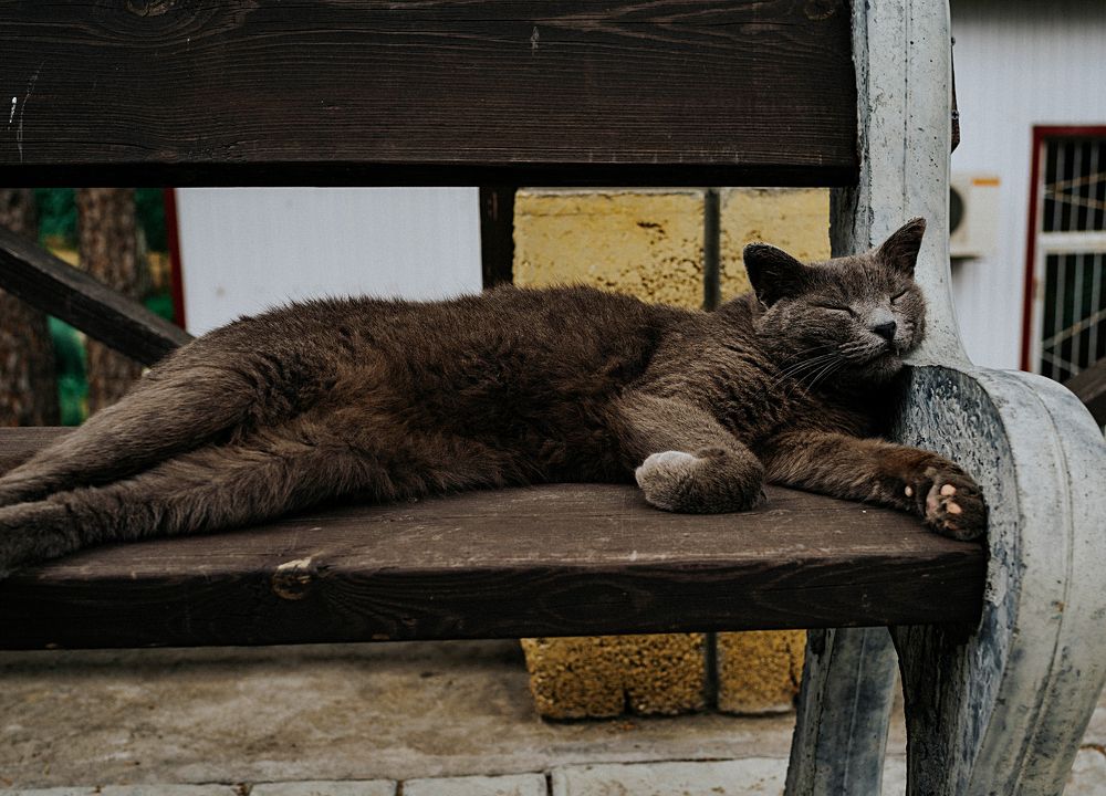 Photograph by Нелли Дзюба