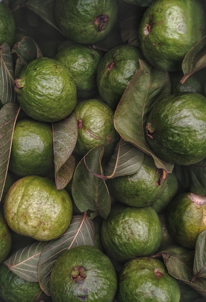 Photograph by Utkarsh Patil