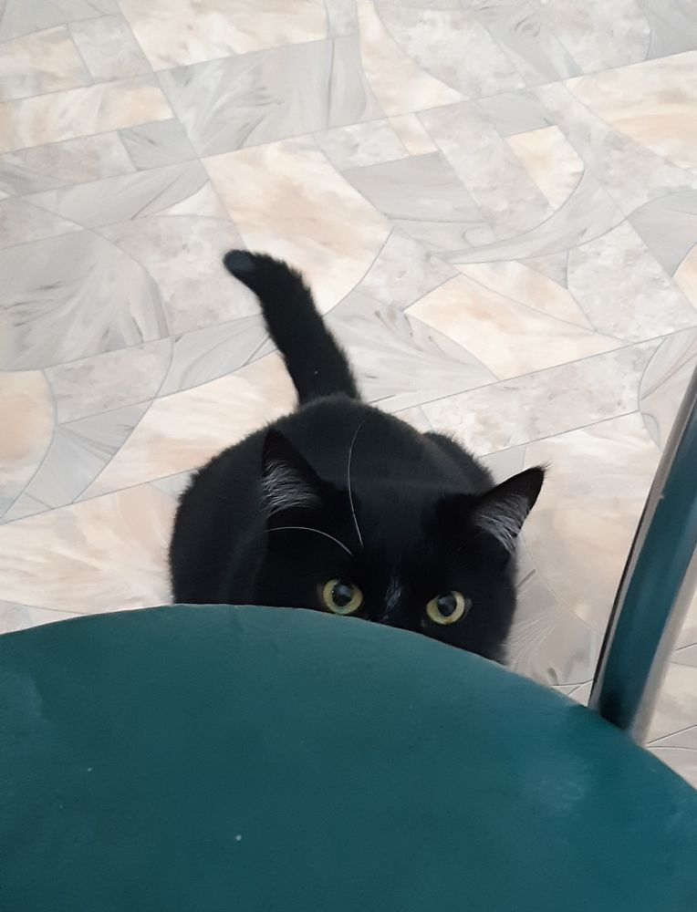 Фотография автора Ирина Лукьянчик