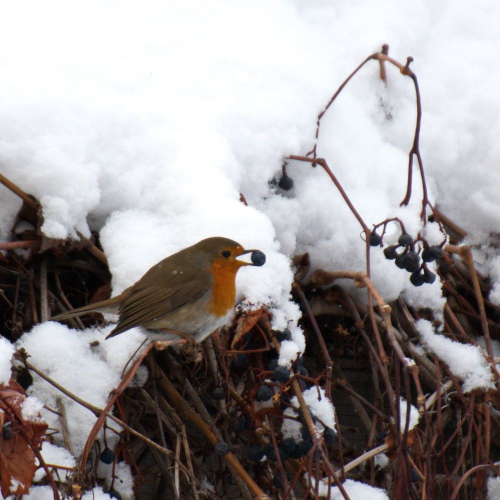 Photograph by Aleksandr777foto