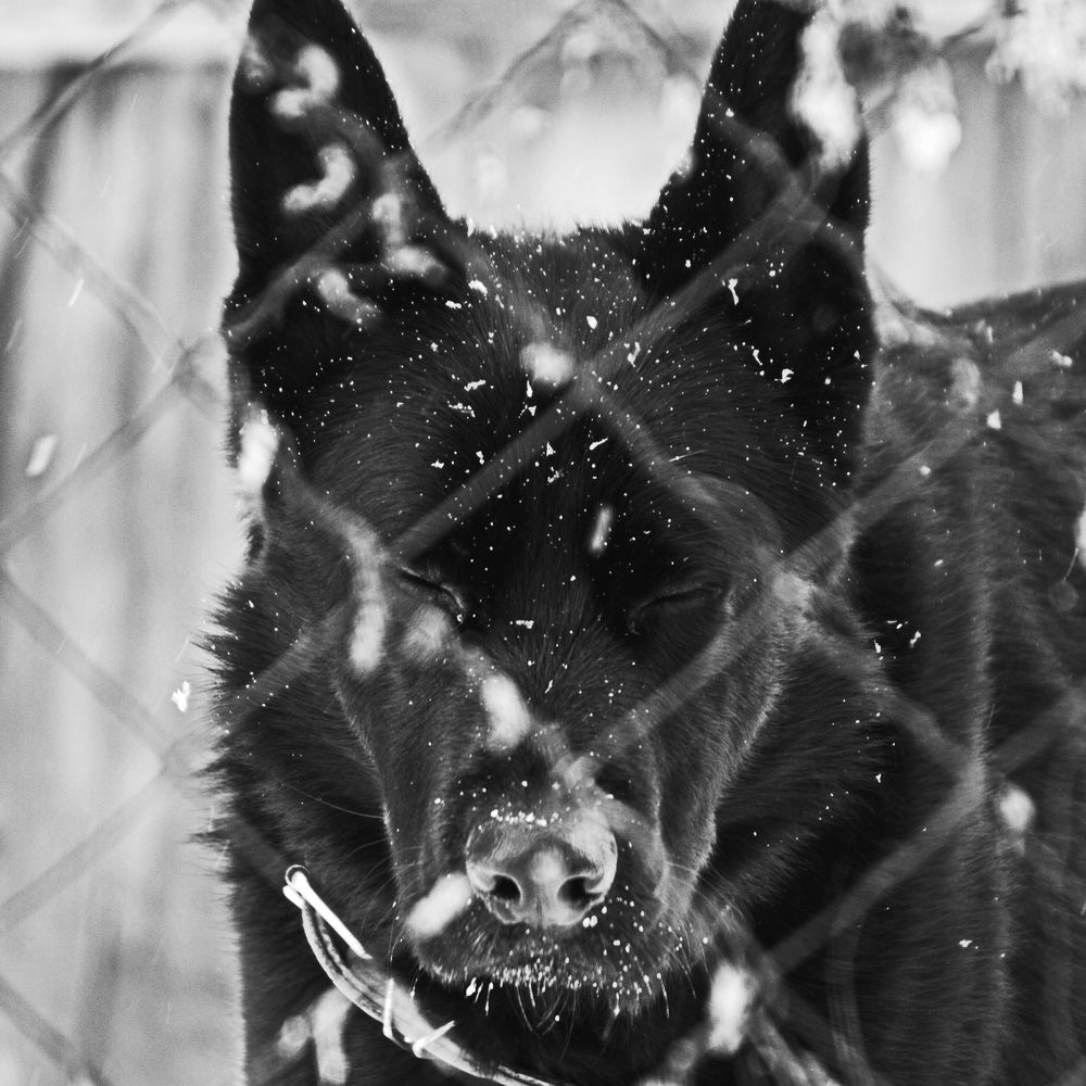 Photograph by Aleksandr777foto