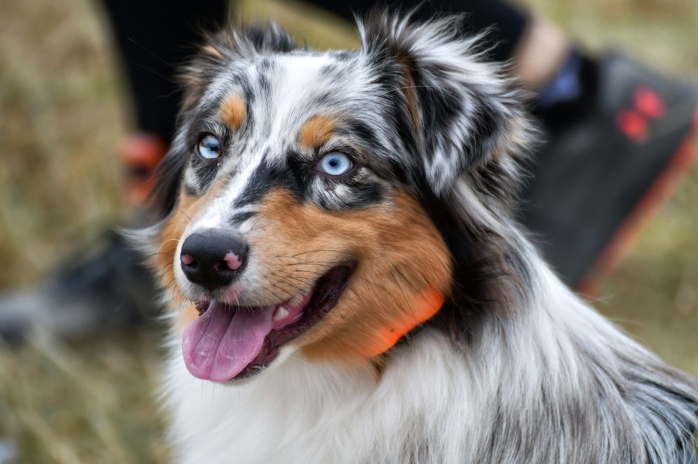 Фотография автора Дмитрий Чуфаров