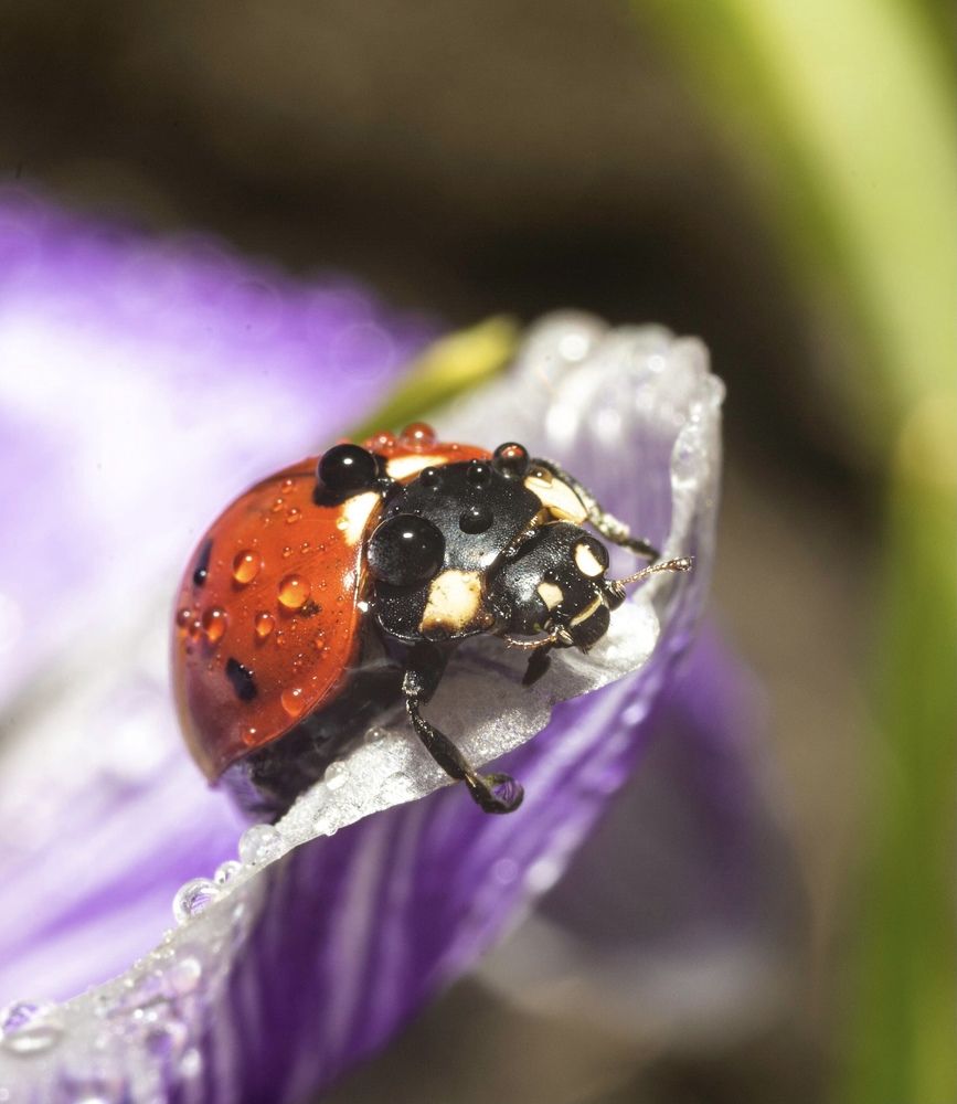 Photograph by Дмитрий