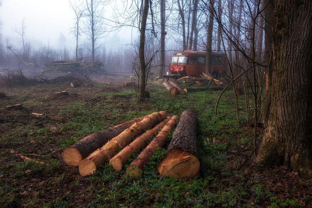 Photograph by Валерий Горбунов