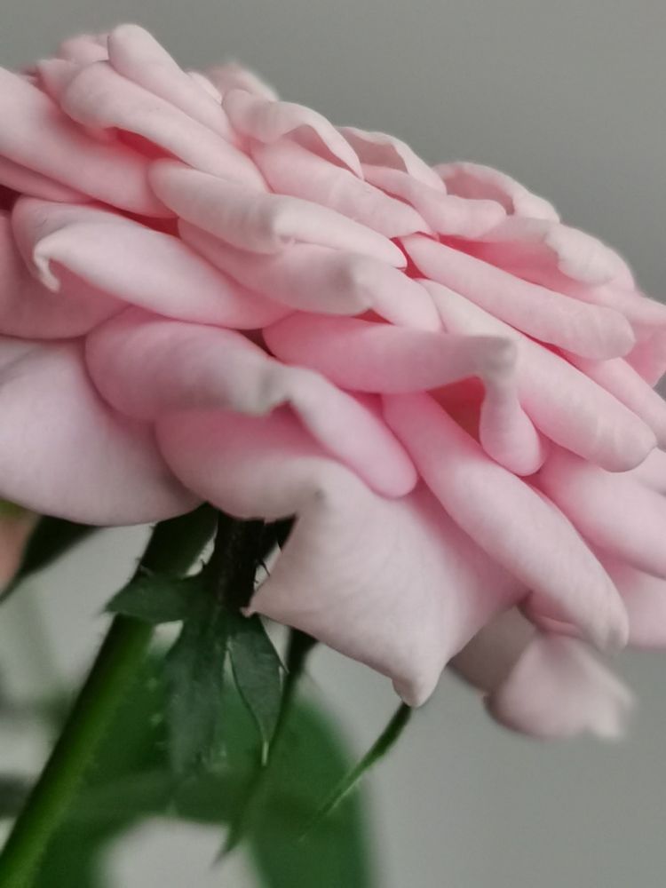 Photograph by Наталья Круглова