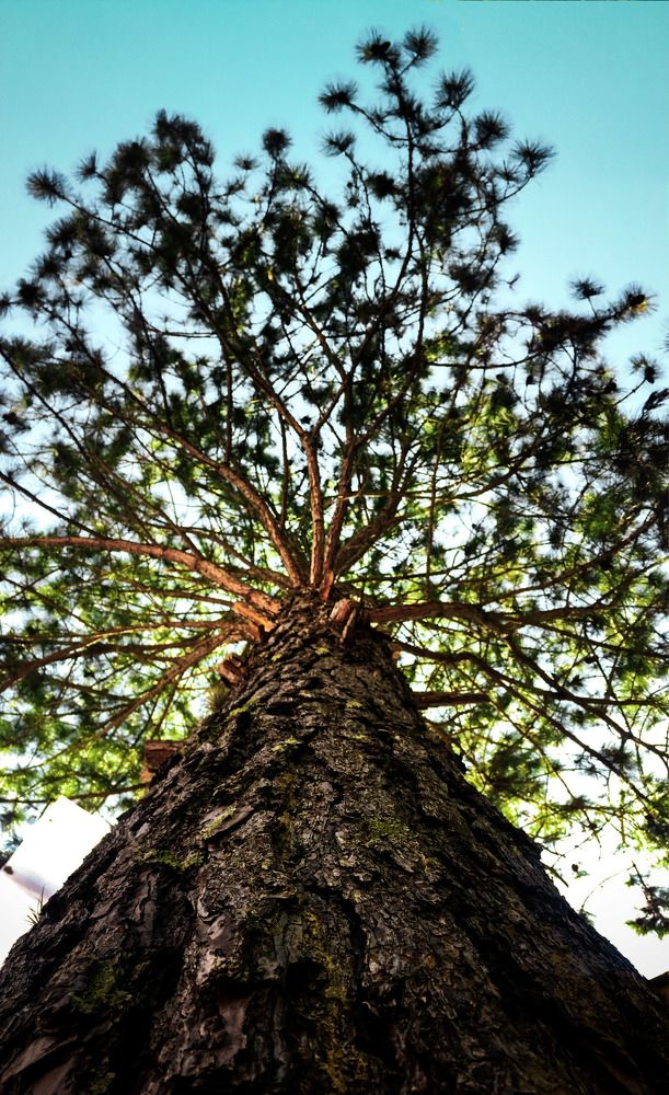 Photograph by Victor Baggio