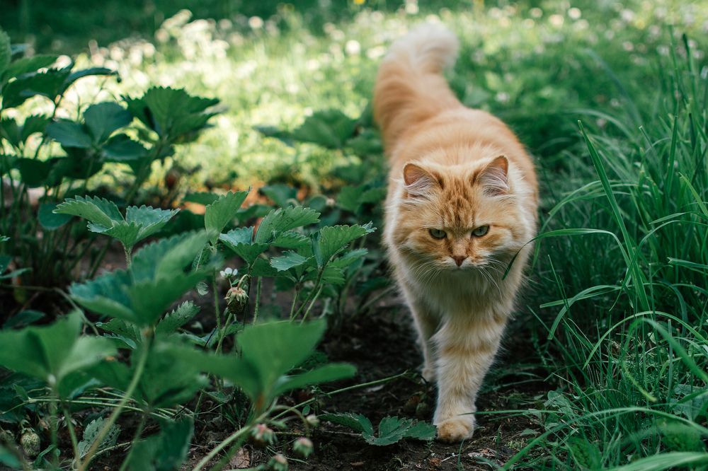 Photograph by Екатерина Устьянцева