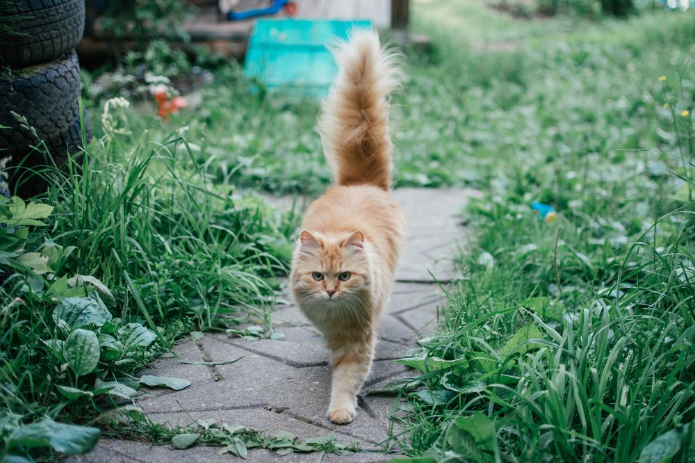 Photograph by Екатерина Устьянцева