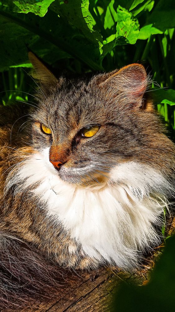 Фотография автора Татьяна Долгушева