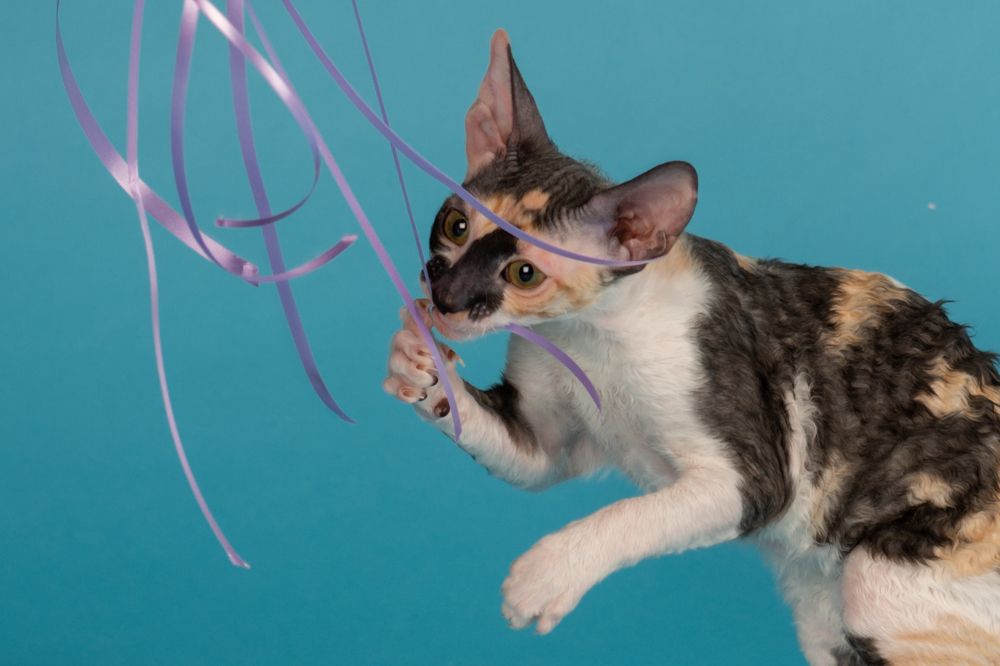 Photograph by Екатерина Устьянцева