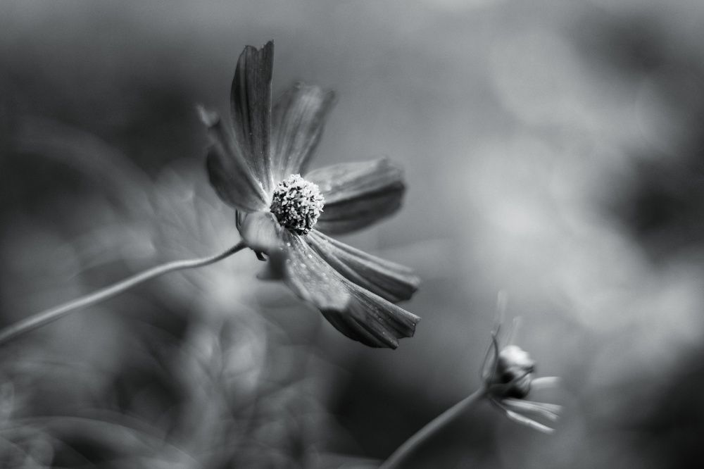 Легкая сложность