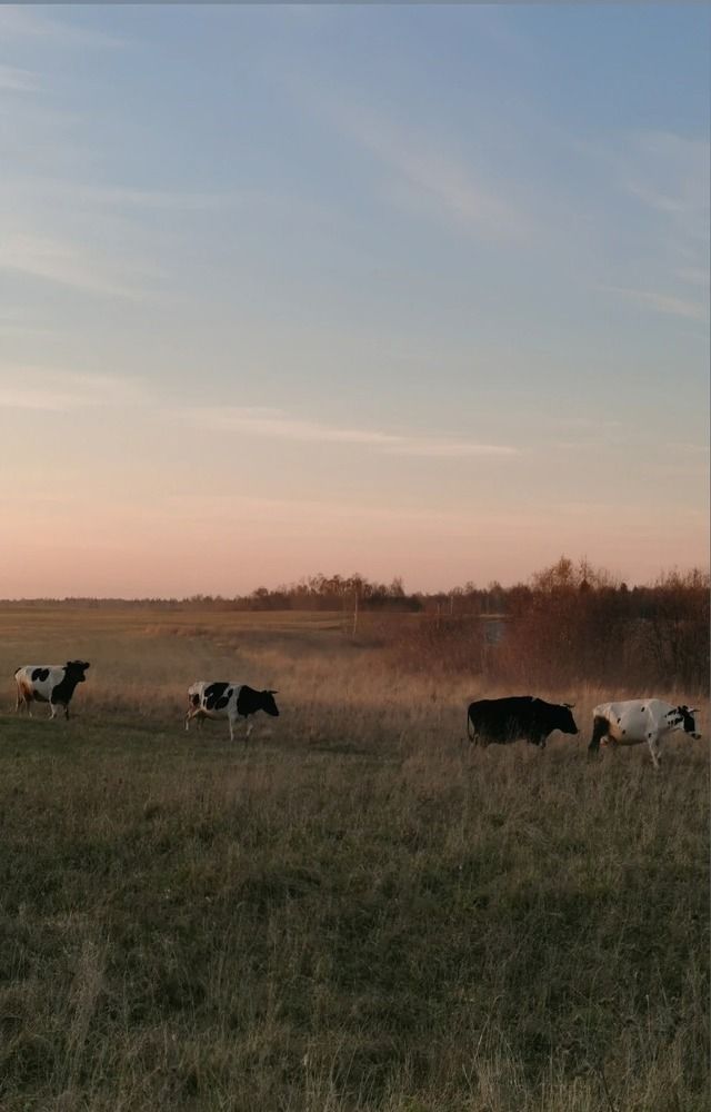 Photograph by Наталья Круглова