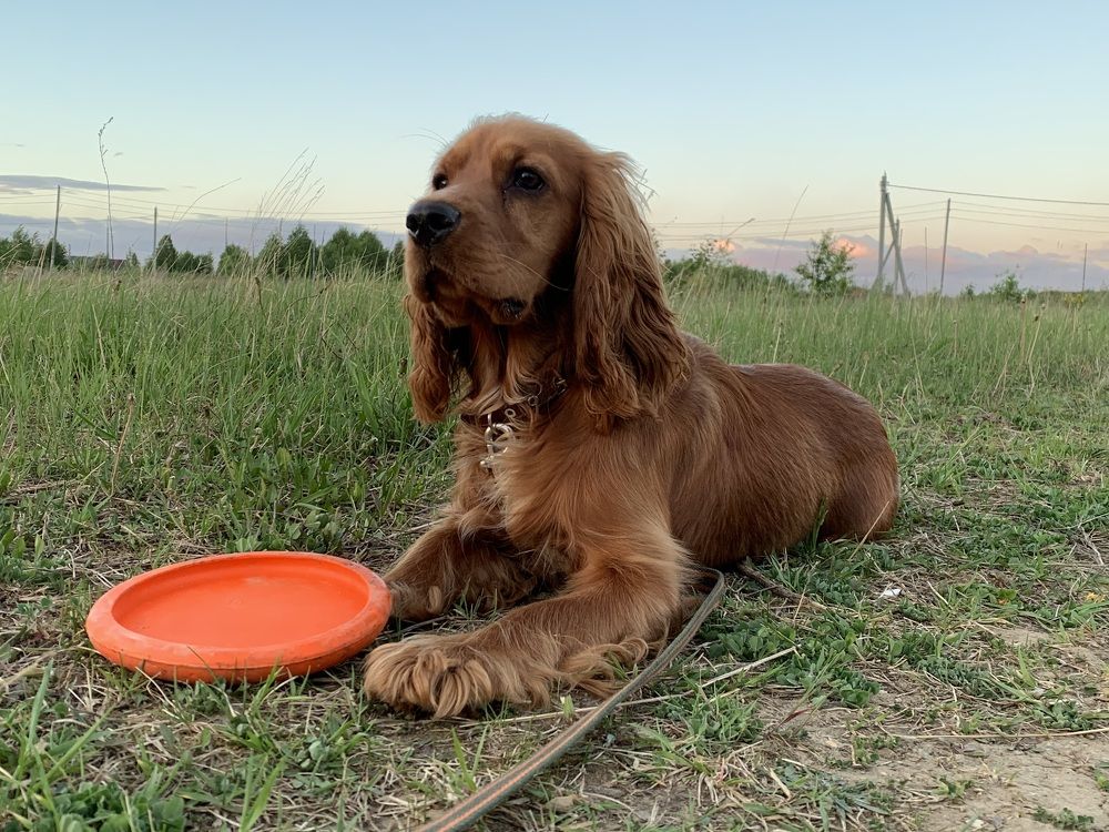 Photograph by Светлана Пономаренко