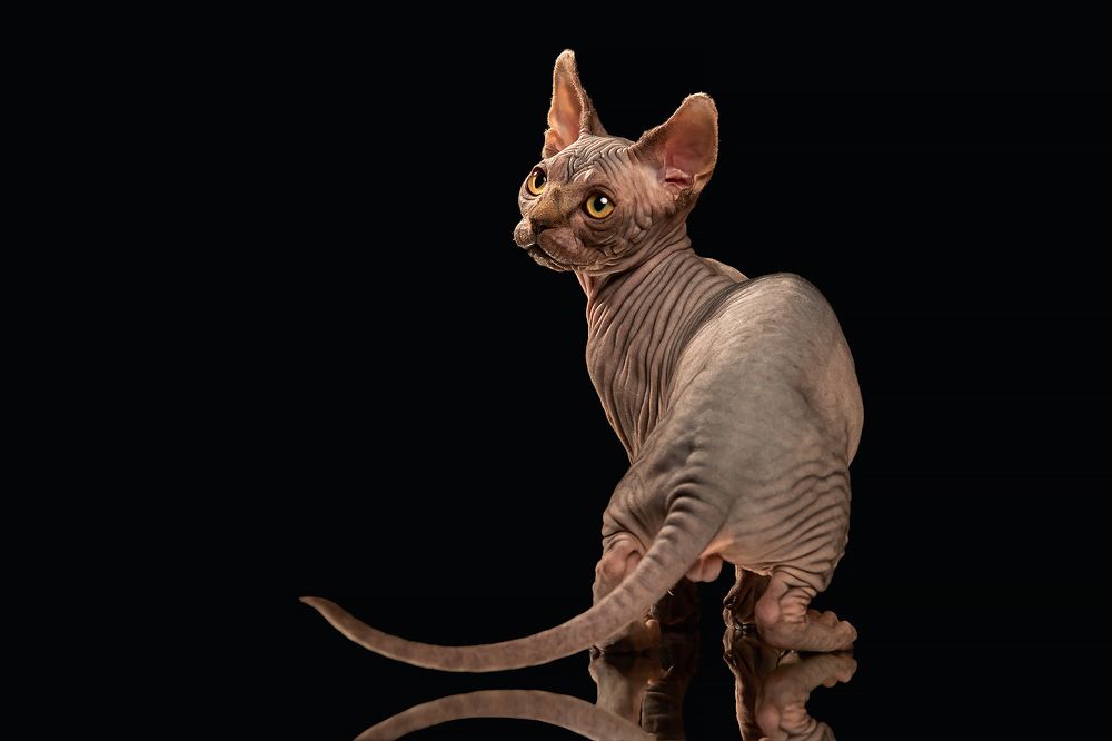 Photograph by Лана Полякова