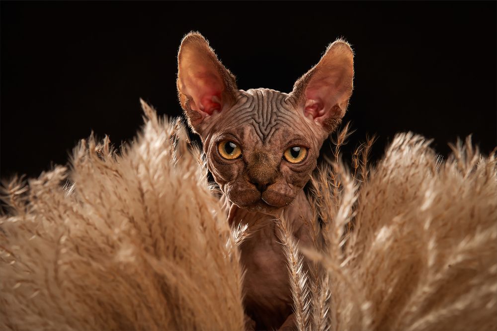 Photograph by Лана Полякова