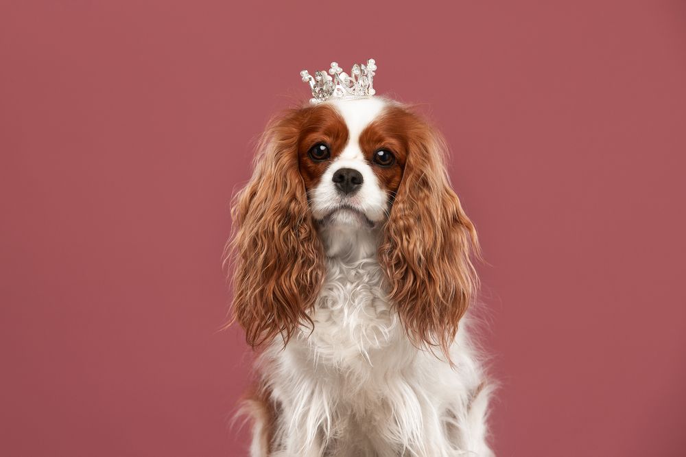 Photograph by Лана Полякова