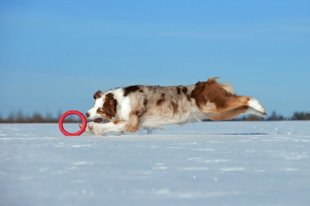 Photograph by Лана Полякова