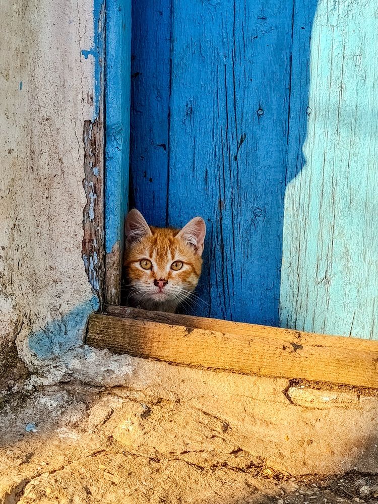 Photograph by Лариса Когтева