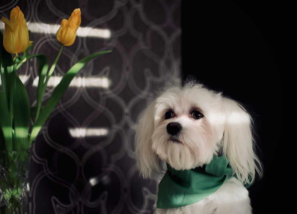 Photograph by Наталья Трусова