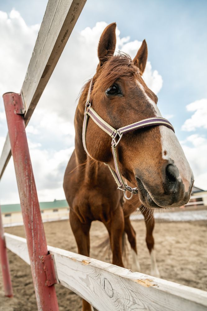 Photograph by Егор Круглов