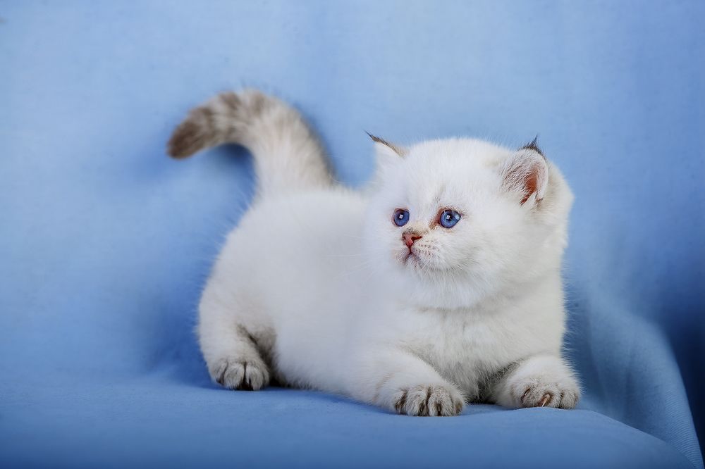 Photograph by Алексей Трифонов